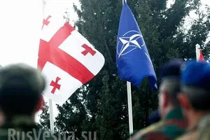 Грузия, потом Украина? НАТО нашло лазейку для вступления стран