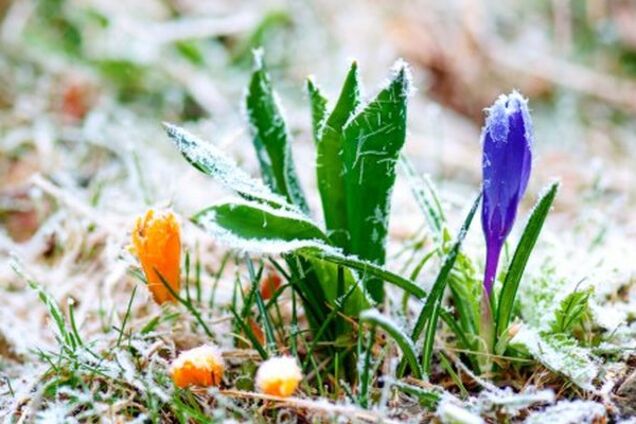 Прогноз погоды в Украине