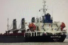 В Украине арестовали еще одно судно РФ из-за строительства Керченского моста