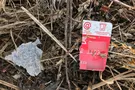 В РФ останки жертв Ан-148 до сих пор лежат в поле