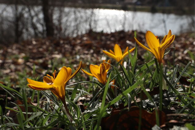 'Окружены холодами': синоптик дала прогноз погоды в Украине