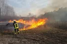 Поджог сухостоя