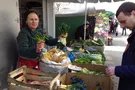 В Харькове устроили облаву на торговцев редкими растениями: яркий фоторепортаж
