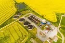 К рейдерской атаке на иностранные инвестиции подключились СМИ – фонд FreezeOil