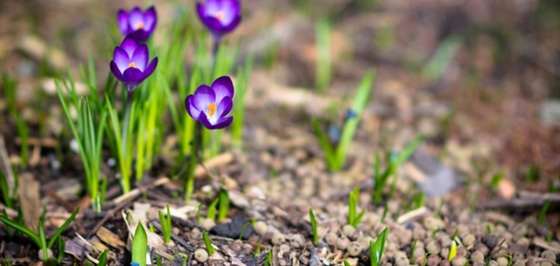 Погода в Україні