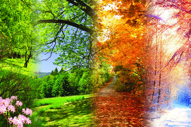 Картинки времена года