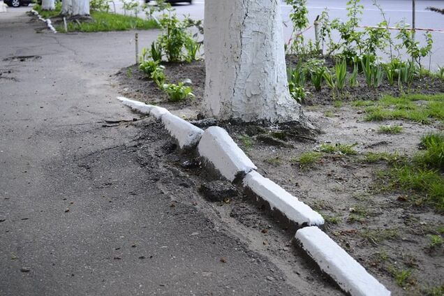 'Бутафорская показуха': как в Киеве соблюдают запрет на традицию СССР