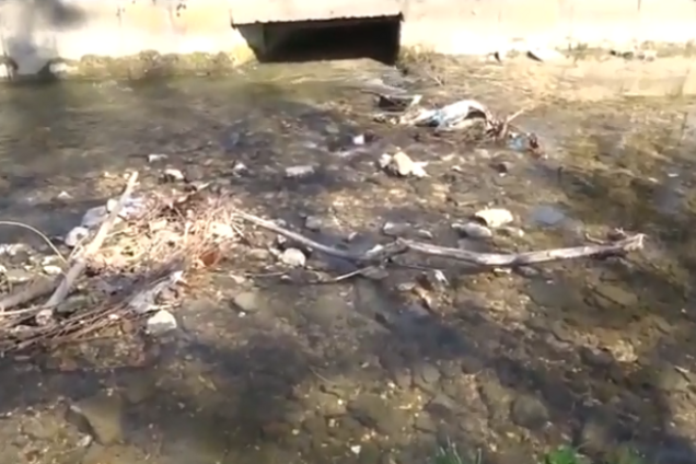 Вонь и мусор: ужасающее состояние набережной Симферополя