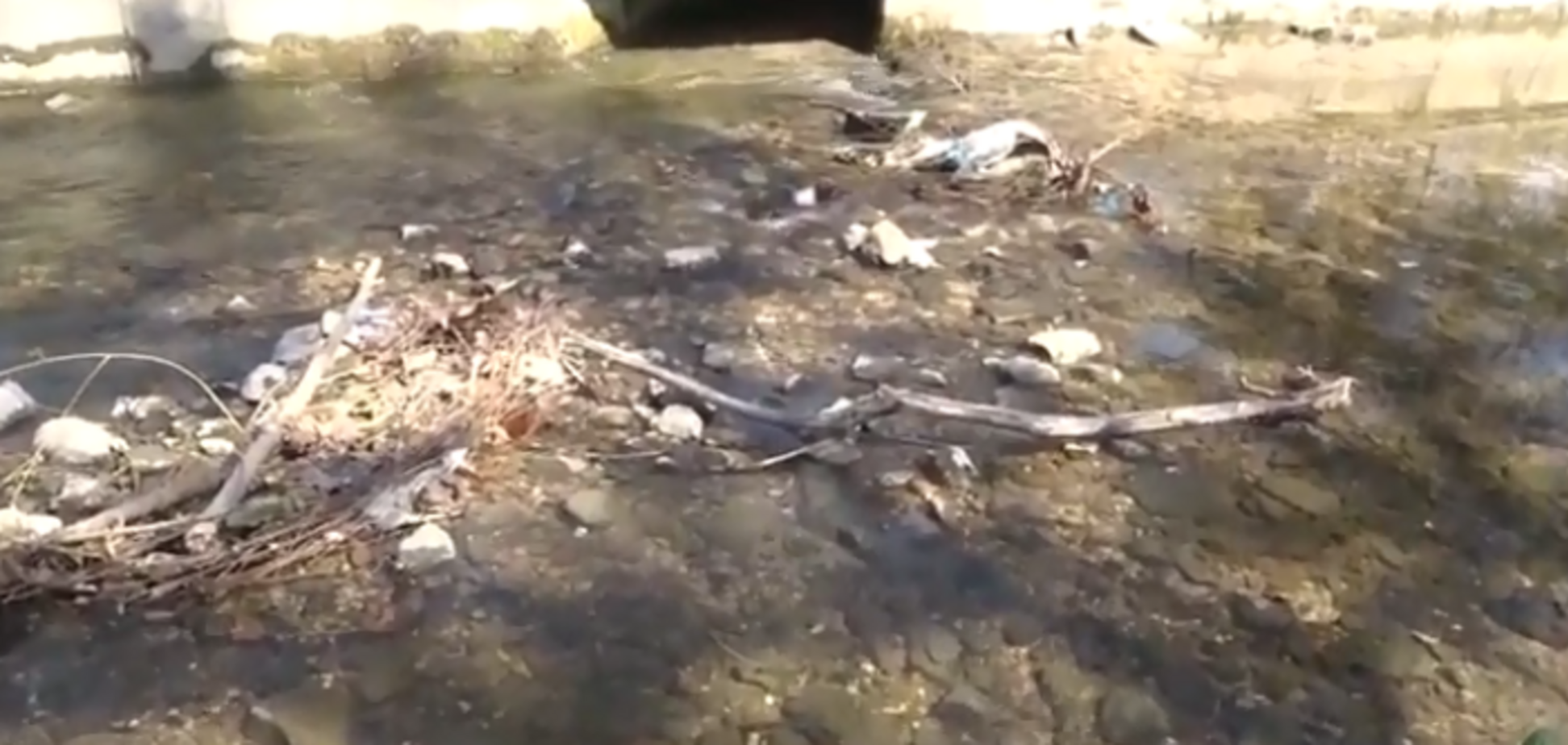 Вонь и мусор: ужасающее состояние набережной Симферополя