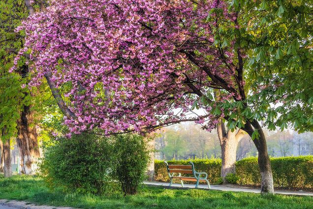 Травневі свята 2018: куди поїхати в Україні