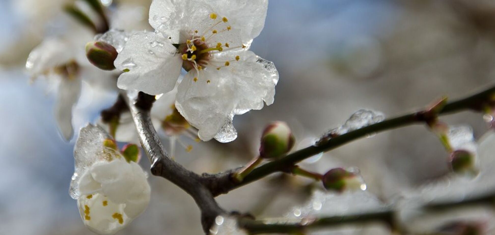 Прогноз погоди в Україні