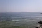 В Одессе побережье покрылось подозрительной пеной