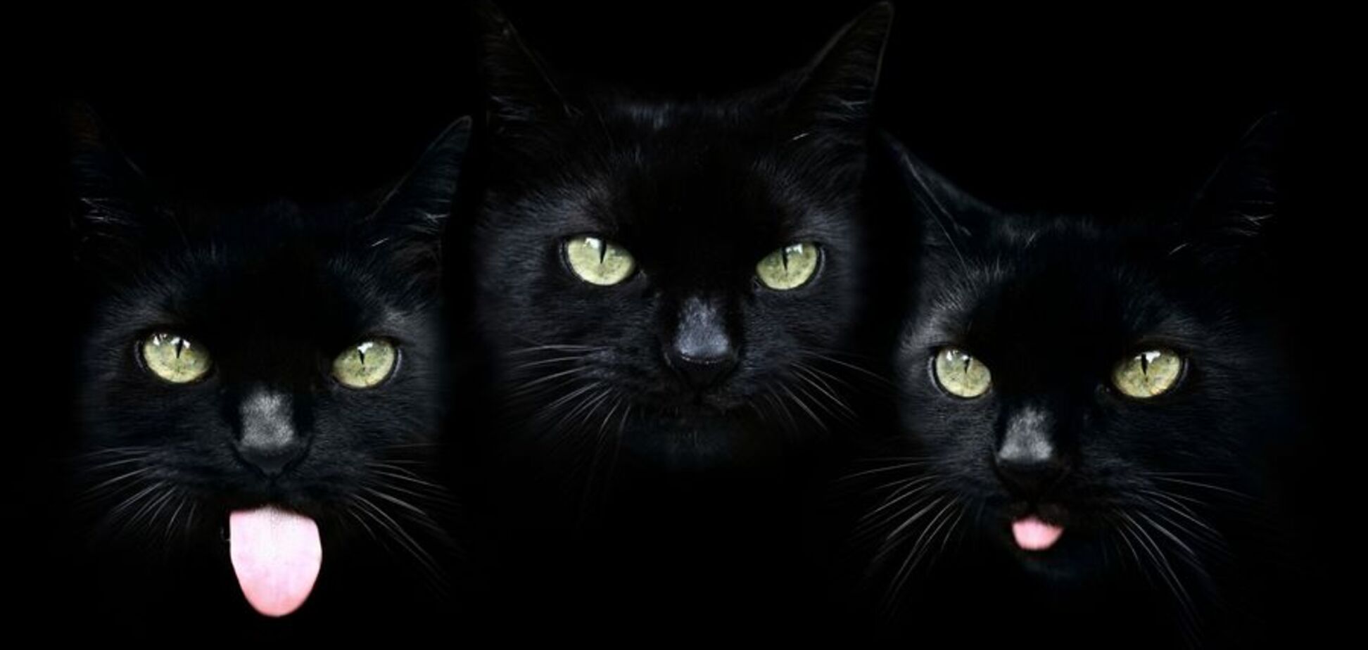 Пятница 13: картинки, мемы и смешные фотоприколы