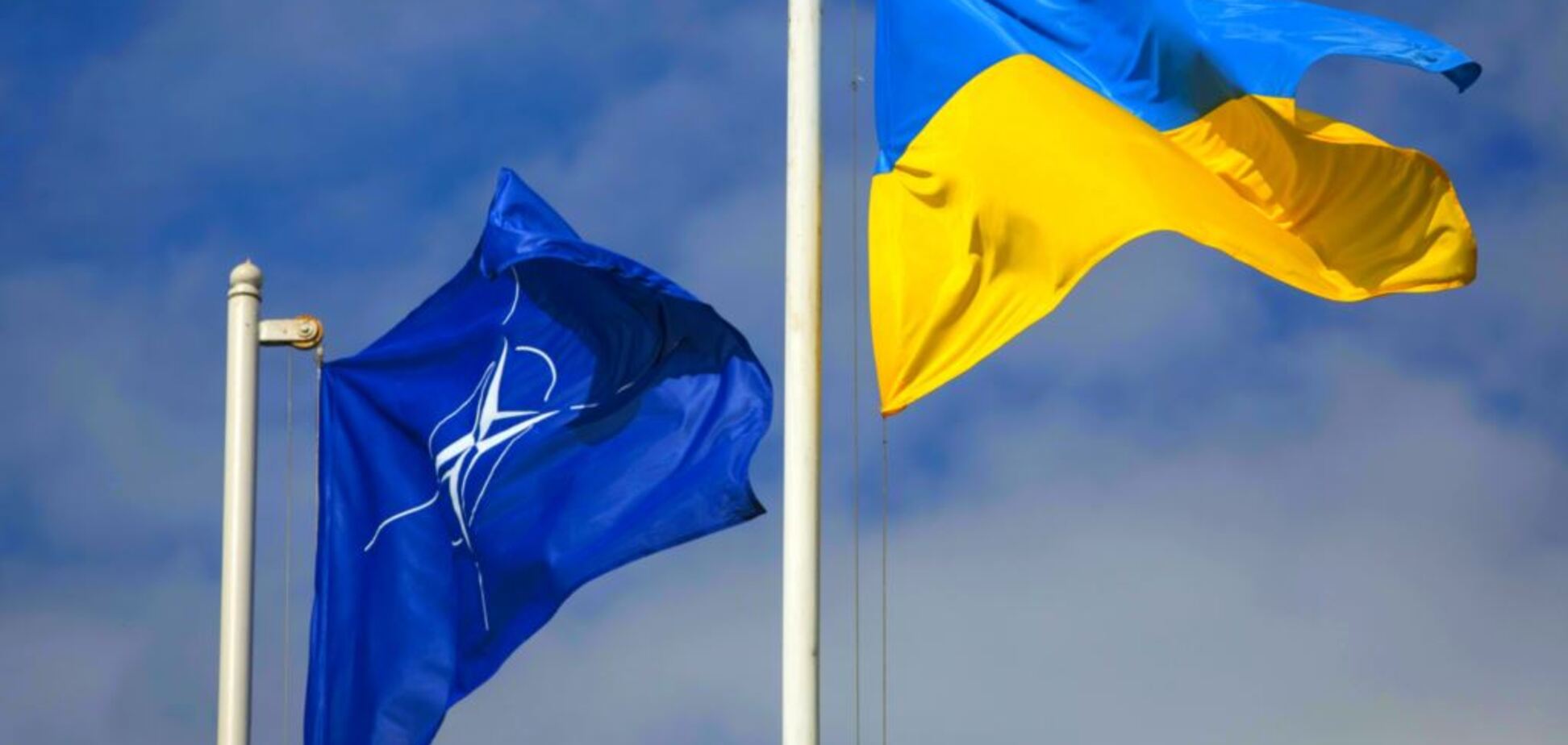 Вступление в НАТО не светит Украине ближайшие 10 лет - Гриценко