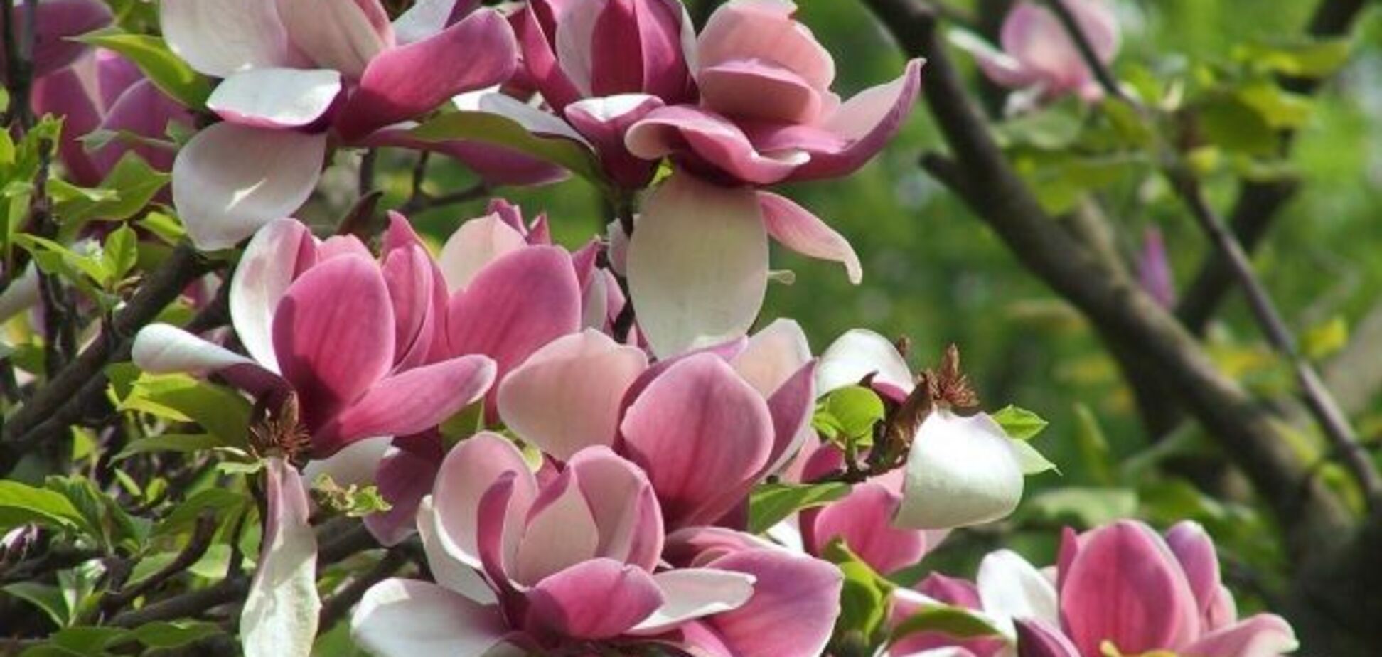 Появился прогноз погоды на выходные в Украине