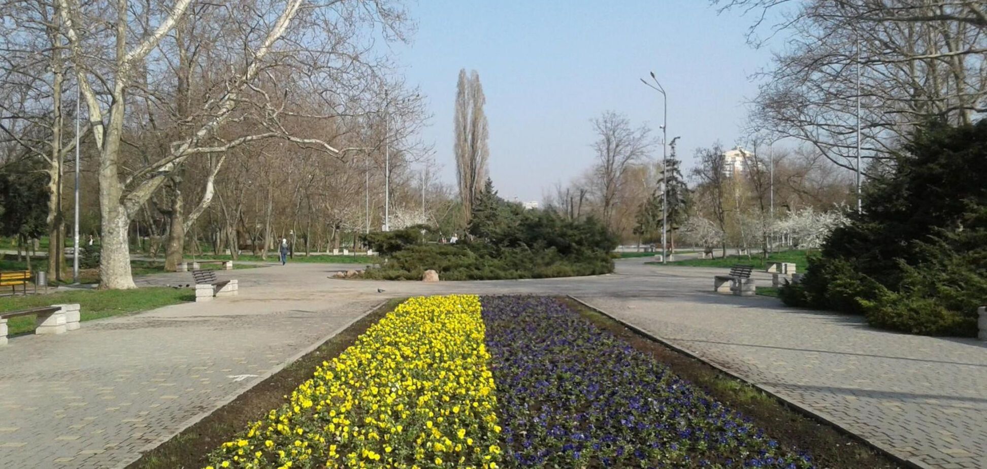 Украинский флаг из цветов появился в Одессе