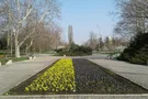 Украинский флаг из цветов появился в Одессе