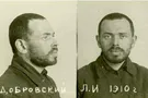 Про "антисемитизм" бан*еровцев: развеиваем мифы