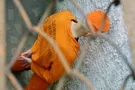 Осужденный к пожизненному лишению свободы