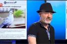 Канабис