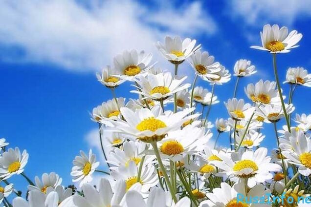 Синоптик дал прогноз на лето и осень 2018 года