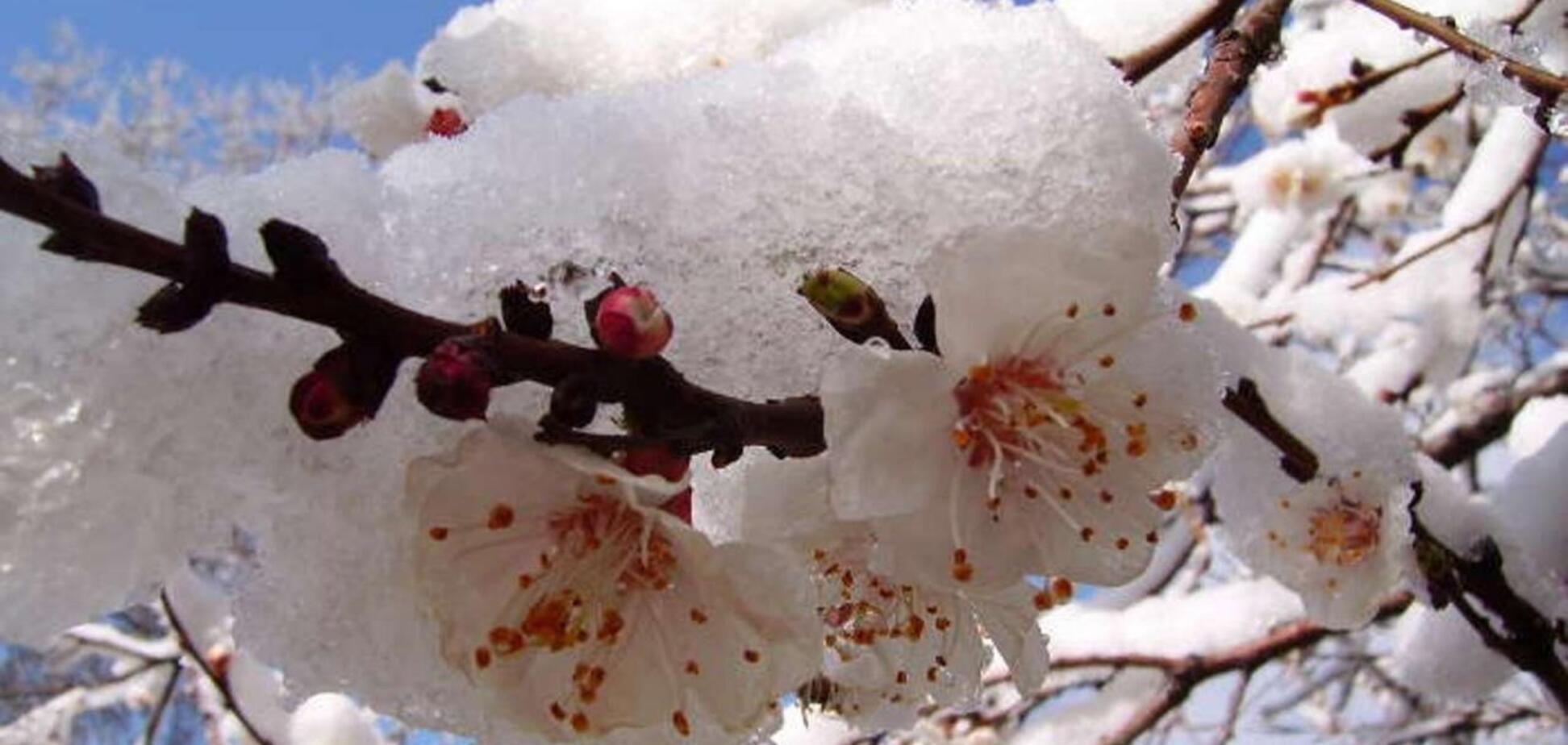 Народный синоптик предрек похолодание в Украине