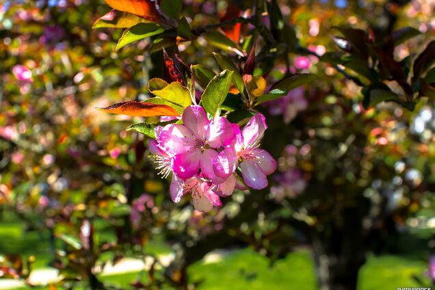 Народный календарь: приметы на 19 апреля