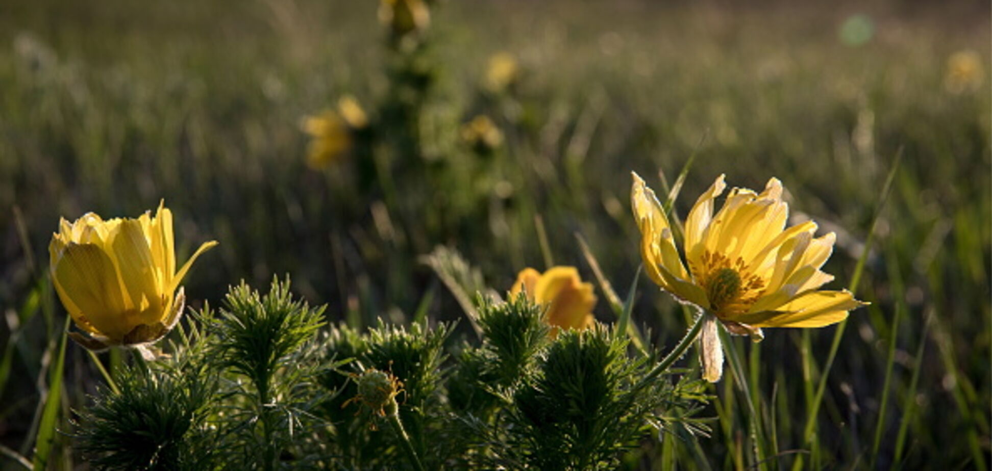 'Существенный скачок': синоптик рассказала, как изменится погода в Украине