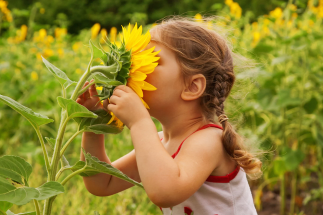 Забыть о Шанель