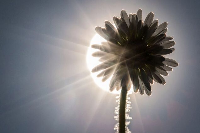 Погода в Украине