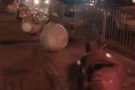 Ураганный ветер повалил писанки на Софийской площади