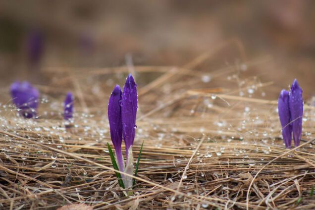 Синоптик предупредила о похолодании в Украине