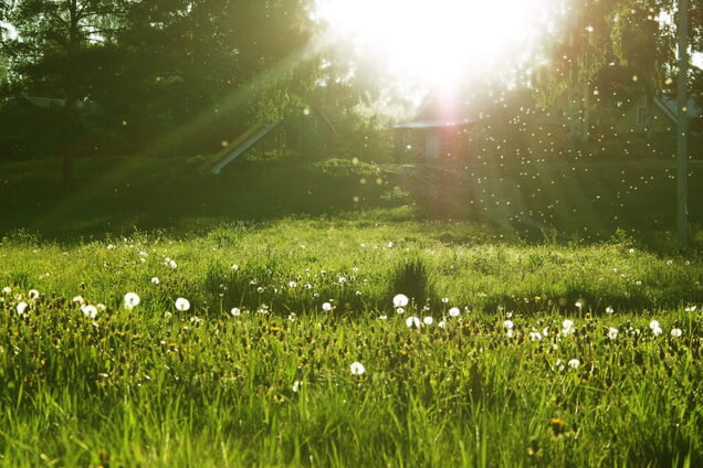 Травневі свята 2018: з'явився прогноз погоди