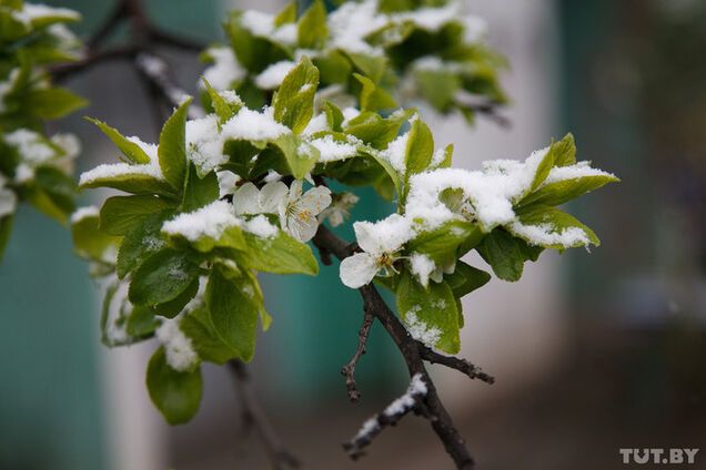 Погода в Украине