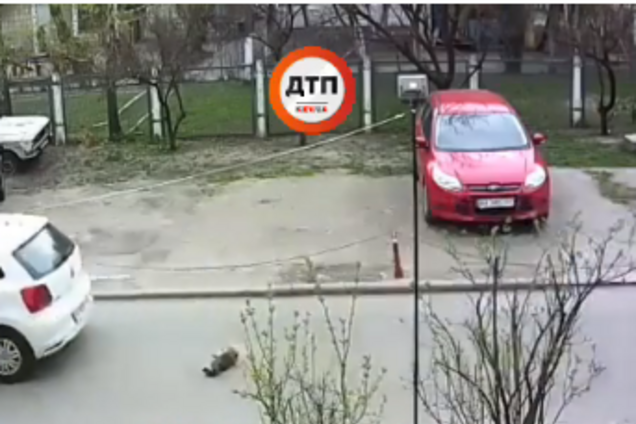 В Киеве живодер устроил смертельное ДТП и скрылся: момент попал на видео