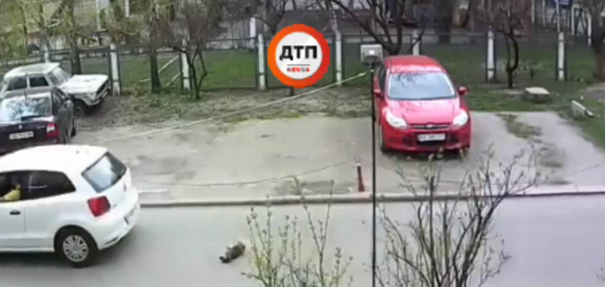 В Киеве живодер устроил смертельное ДТП и скрылся: момент попал на видео