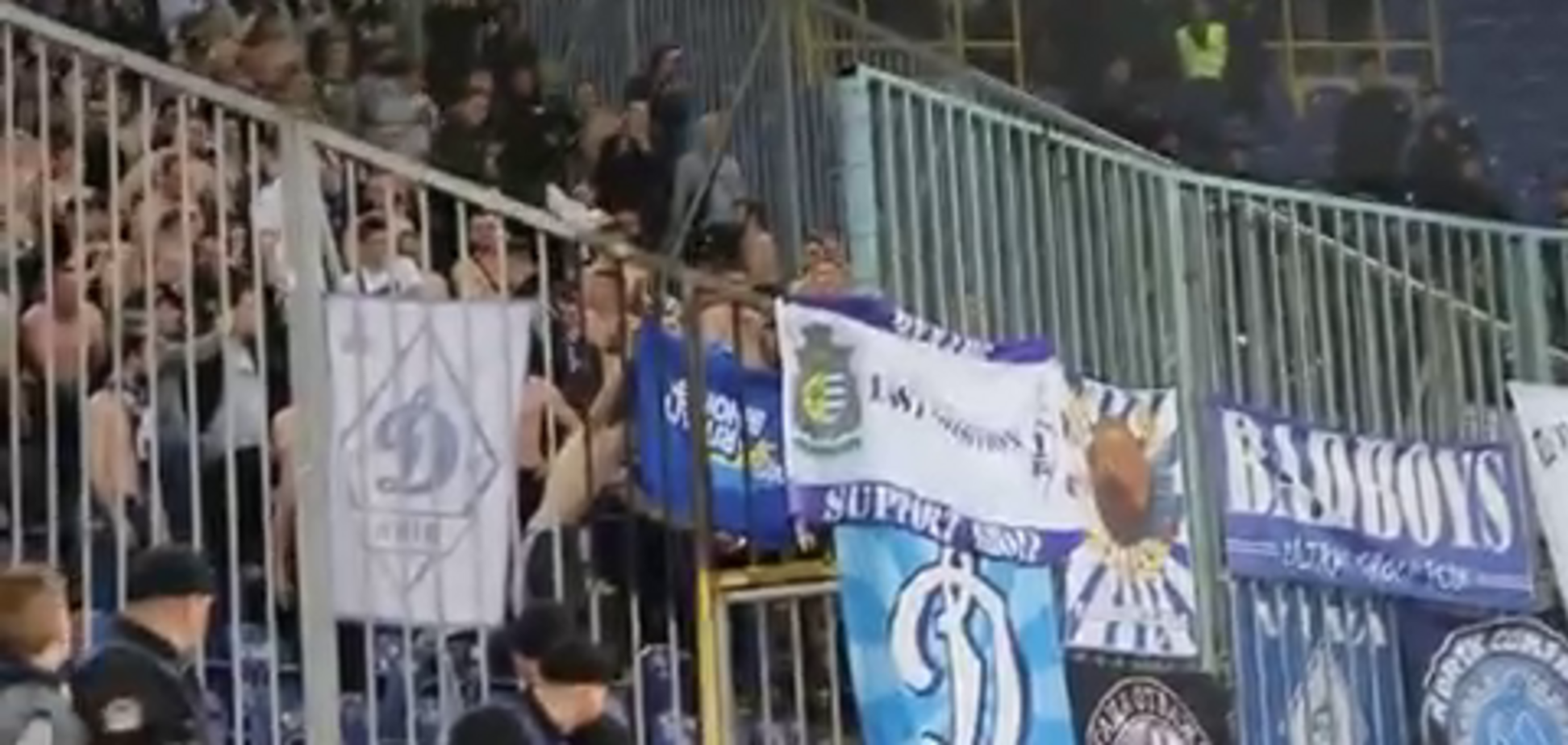 Ультрас 'Динамо' показали свое отношение к Партии Регионов: эффектное видео