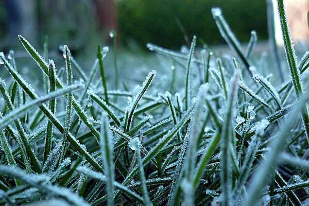 В Украину идут заморозки: синоптик дал прогноз