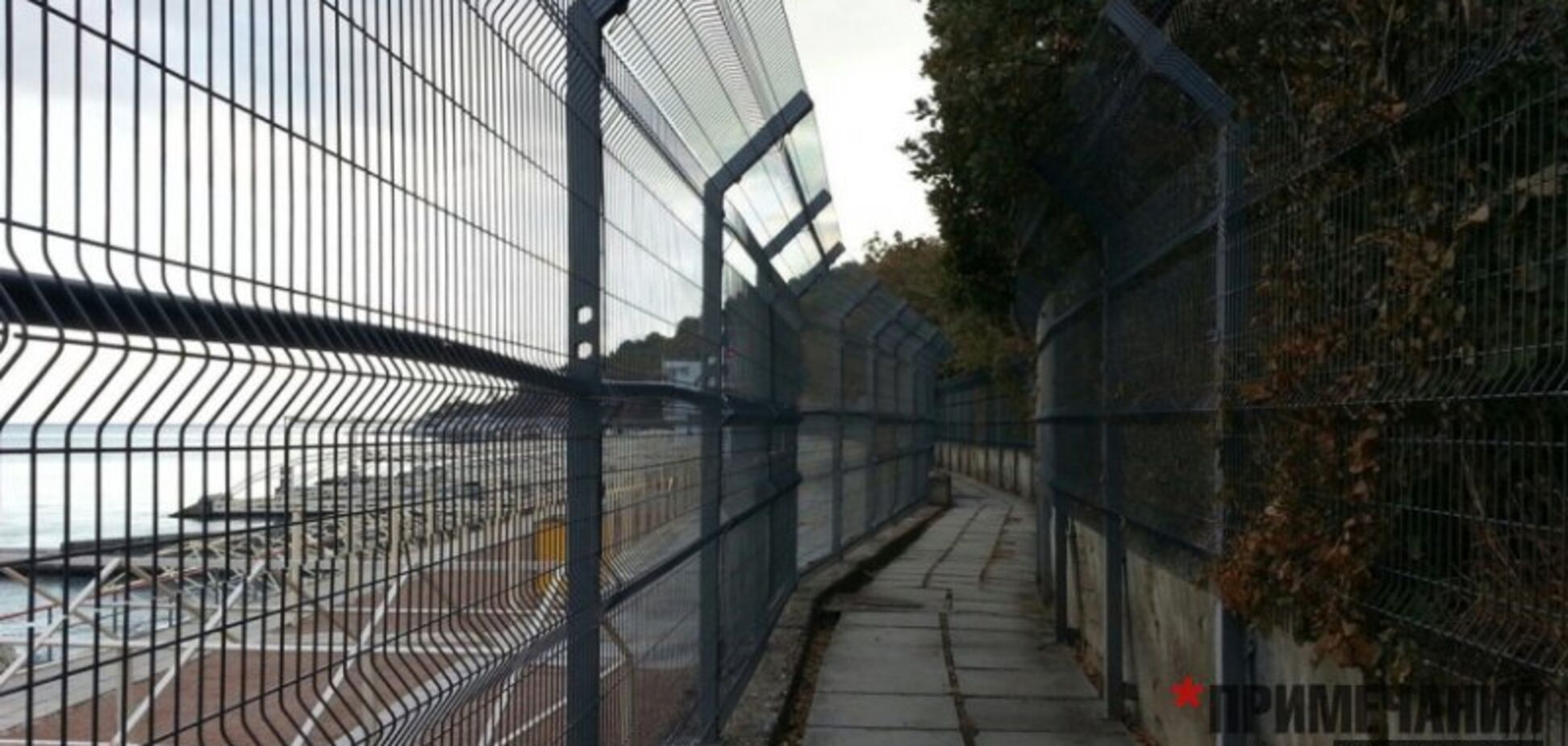 Новости Крымнаша. Гомункулы