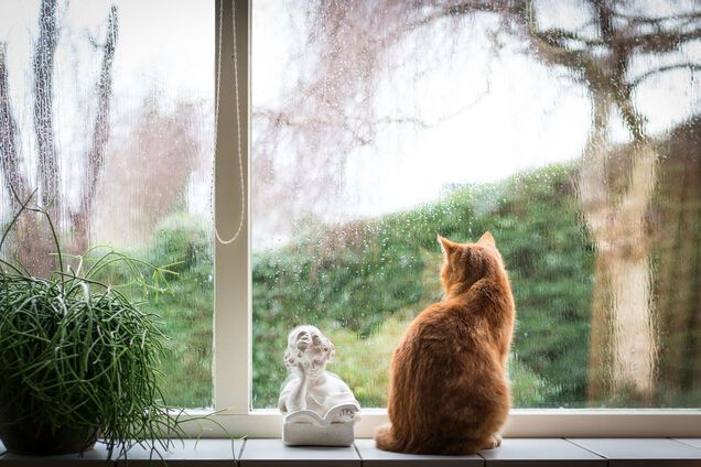 Грозы и +25: какой будет погода в Украине в начале недели