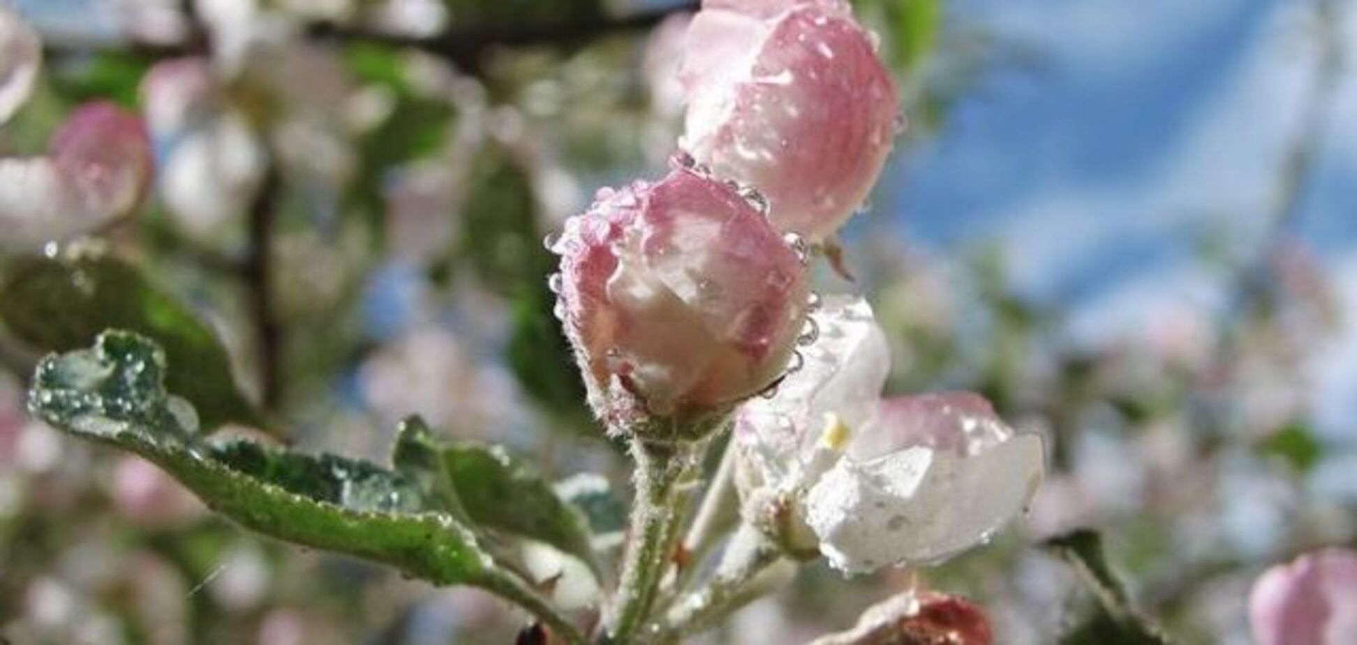 Прогноз погоди в Україні