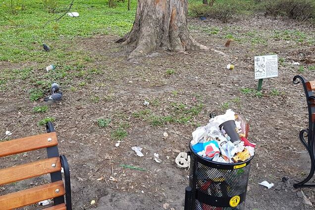 Ботанический сад в Киеве превратили в свалку