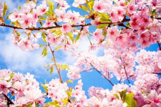 В мае украинцев ждут длинные выходные: сколько будем отдыхать