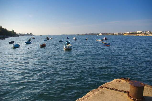 В Крыму назревает новая экологическая катастрофа: кто виноват