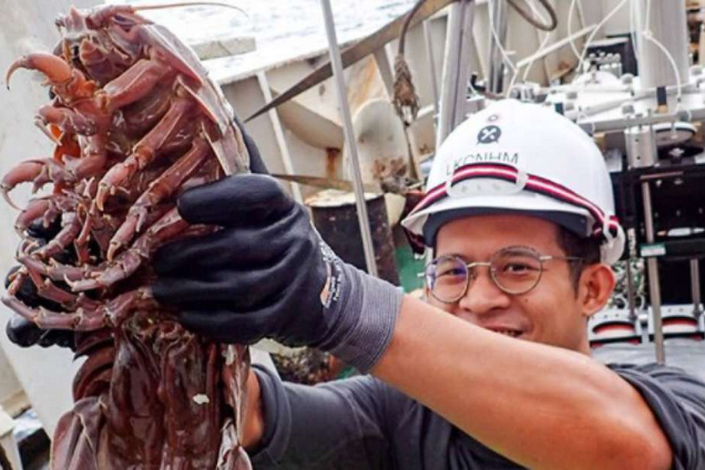 В Индонезии обнаружили морского монстра с 'цепной пилой': впечатляющие фото