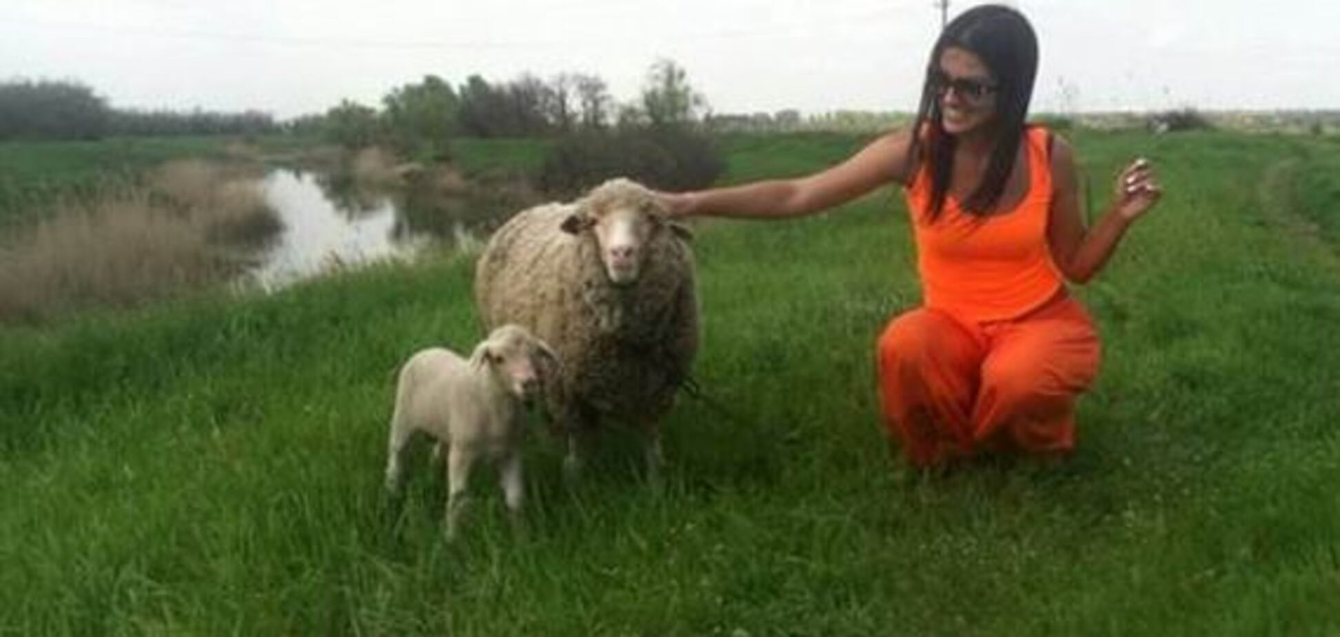 Главный миф о вегетарианстве