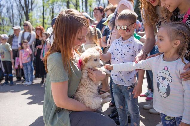 У Харкові волонтери будуть прилаштовувати бездомних тварин