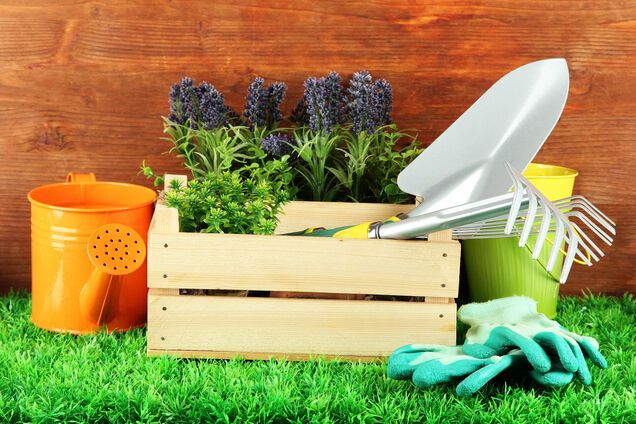 Лунный посевной календарь: когда и что сажать в мае