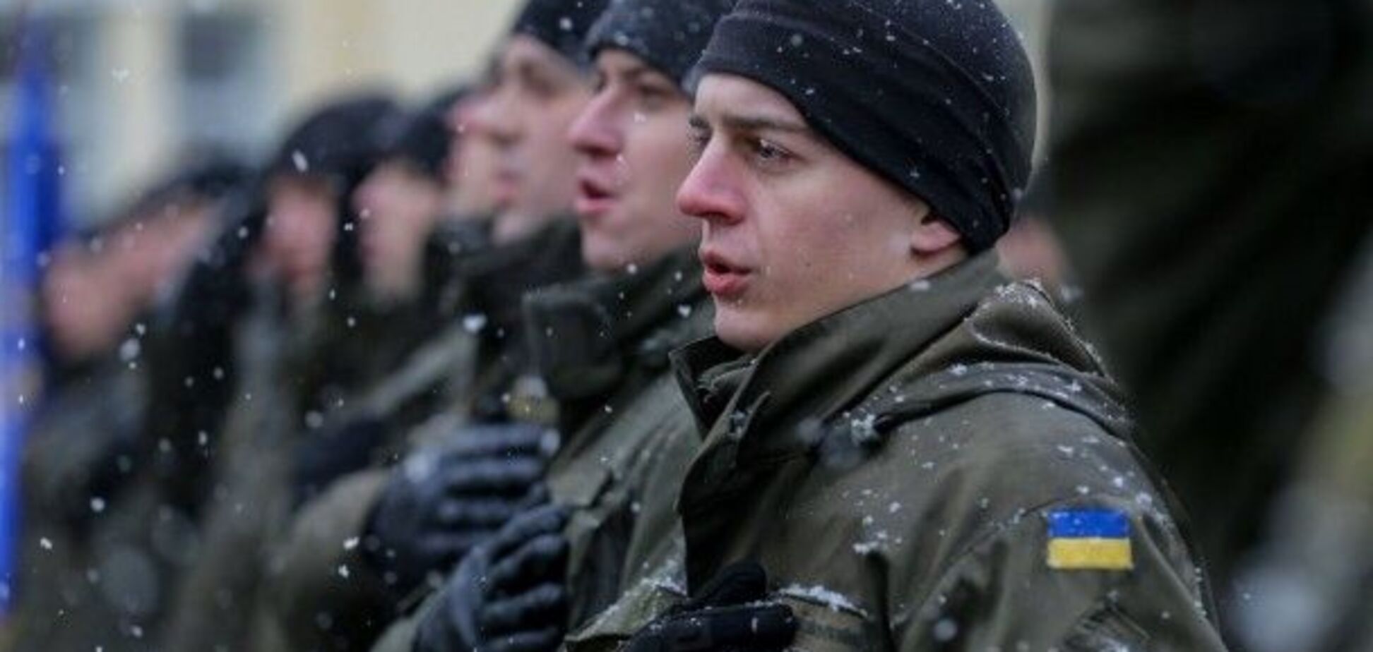 добровольцы