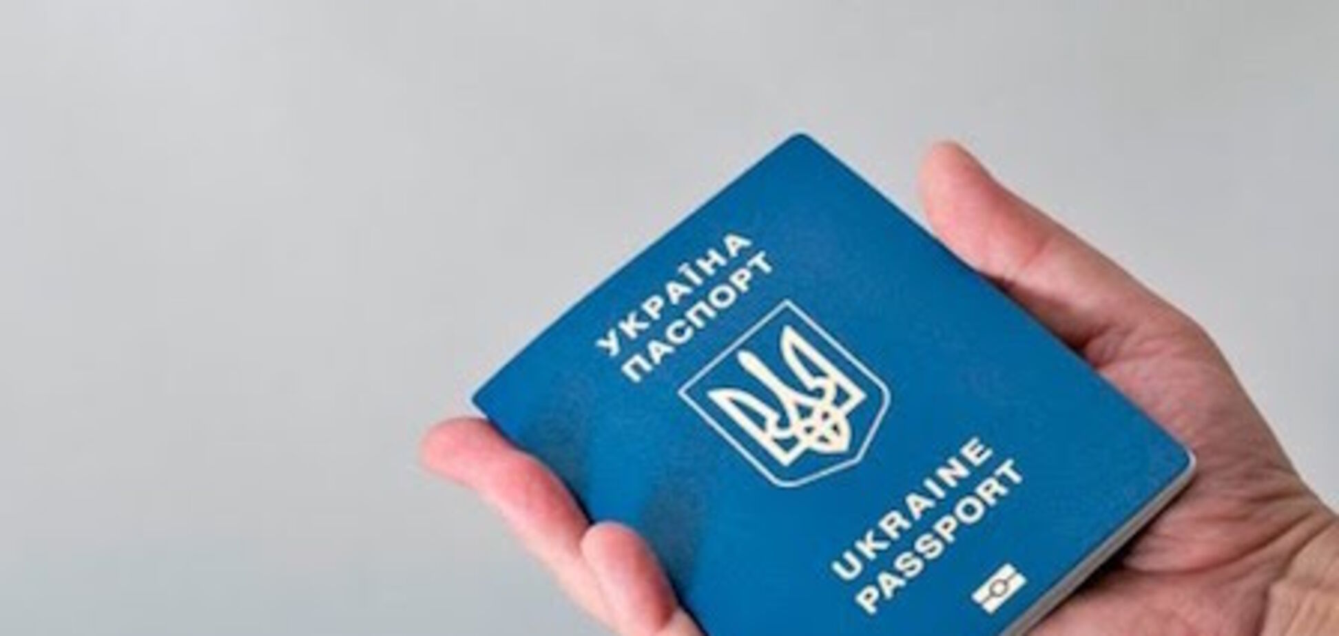Закон об украинском гражданстве: кто хочет подставить Порошенко?